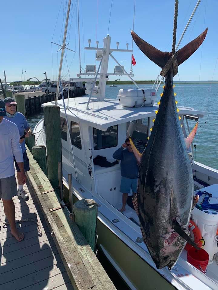 beach haven tuna fishing 2 20200614 1495538450