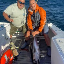 509423645 3127054187457868 n