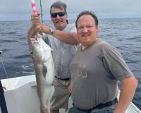 516828466 3149075528589067 n