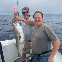 516828466 3149075528589067 n