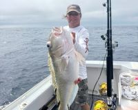 518354276 3149075648589055 n