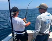 525439061 18323218603227400 n