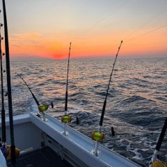 525454669 18323218615227400 n