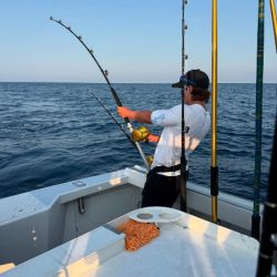 525588981 18323218582227400 n