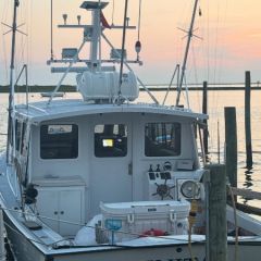 526323137 18323218624227400 n