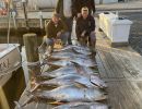 beach haven fishing 2 20221011