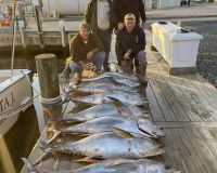 beach haven fishing 2 20221011