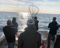 beach haven fishing 3 20201127