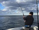 beach haven fishing 5 20221011