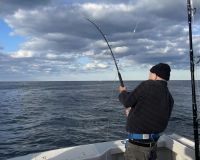 beach haven fishing 5 20221011