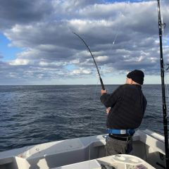 beach haven fishing 5 20221011
