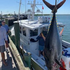 beach haven tuna fishing 2 20200614