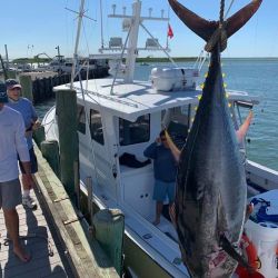 beach haven tuna fishing 2 20200614