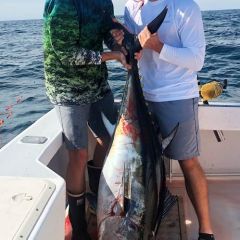 beach haven tuna fishing 3 20200614