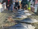 lbi fishing  1 20220111