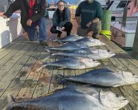 lbi fishing  1 20220111