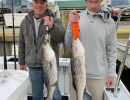 lbi fishing  12 20220111