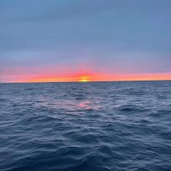 lbi fishing  13 20220111