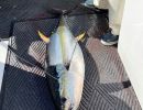 lbi fishing  2 20220111