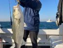 lbi striped bass fishing 3 20221127