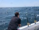 offshore fishing 4 20200628