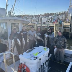 striped bass fishing   lbi 3 20221127